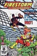 FURY OF FIRESTORM #28 