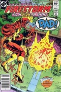 FURY OF FIRESTORM #16B 