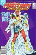 FURY OF FIRESTORM #20B 