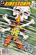 FURY OF FIRESTORM #57B 