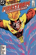FURY OF FIRESTORM #60 