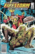 FURY OF FIRESTORM #19B 