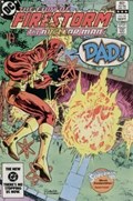 FURY OF FIRESTORM #16 