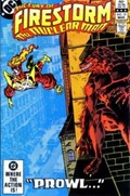 FURY OF FIRESTORM #10 