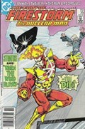FURY OF FIRESTORM #29B 