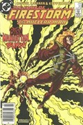 FURY OF FIRESTORM #33B 