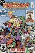 FURY OF FIRESTORM #25 
