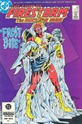 FURY OF FIRESTORM #20 