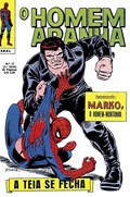 O HOMEM-ARANHA #37 