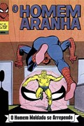 O HOMEM-ARANHA #19 