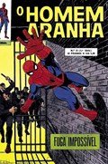 O HOMEM-ARANHA #33 