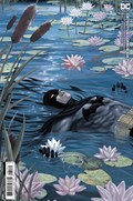DETECTIVE COMICS #1067-RI 