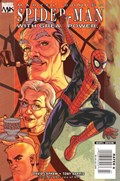 SPIDER-MAN: WITH GREAT POWER #2B 