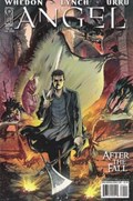 ANGEL: AFTER THE FALL #1-RI 