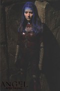 ANGEL: AFTER THE FALL #9C 