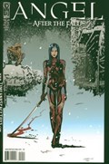 ANGEL: AFTER THE FALL #10C 
