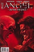 ANGEL: AFTER THE FALL #11B 