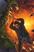 ANGEL: AFTER THE FALL #11-RI 