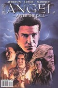 ANGEL: AFTER THE FALL #14B 