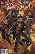 ANGEL: AFTER THE FALL #15B 