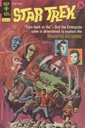 STAR TREK #19 