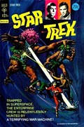 STAR TREK #22 