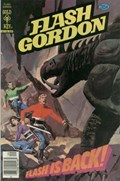 FLASH GORDON #19 