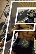 IRREDEEMABLE #17-RI 