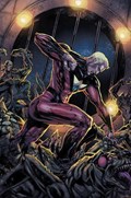 IRREDEEMABLE #24-RI 