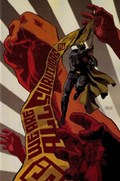 IRREDEEMABLE #25-RI 