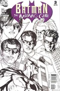 BATMAN: THE WIDENING GYRE #3C 