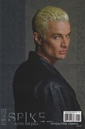 SPIKE: AFTER THE FALL #1J 