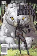 BLACK PANTHER #4B 