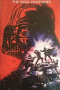STAR WARS: VADER DOWN #1-WWBOX-C 