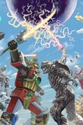 MIGHTY MORPHIN POWER RANGERS #23-RI 