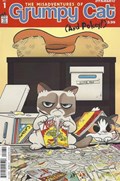 GRUMPY CAT #1C 