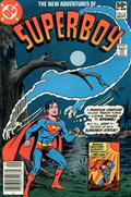 THE NEW ADVENTURES OF SUPERBOY #21B 