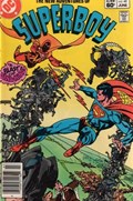 THE NEW ADVENTURES OF SUPERBOY #42B 