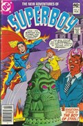 THE NEW ADVENTURES OF SUPERBOY #2 