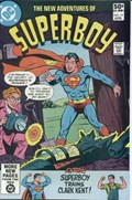 THE NEW ADVENTURES OF SUPERBOY #16 