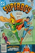 THE NEW ADVENTURES OF SUPERBOY #18B 