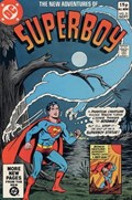 THE NEW ADVENTURES OF SUPERBOY #21C 