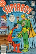 THE NEW ADVENTURES OF SUPERBOY #17B 