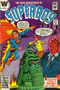 THE NEW ADVENTURES OF SUPERBOY #2C 