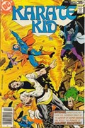 KARATE KID #13 