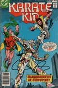KARATE KID #14B 