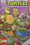 TEENAGE MUTANT NINJA TURTLES NEW ANIMATED ADVENTURES #13-RI 