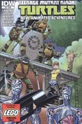 TEENAGE MUTANT NINJA TURTLES NEW ANIMATED ADVENTURES #13 