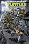 TEENAGE MUTANT NINJA TURTLES NEW ANIMATED ADVENTURES #9 