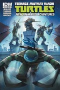 TEENAGE MUTANT NINJA TURTLES NEW ANIMATED ADVENTURES #14-SUB 